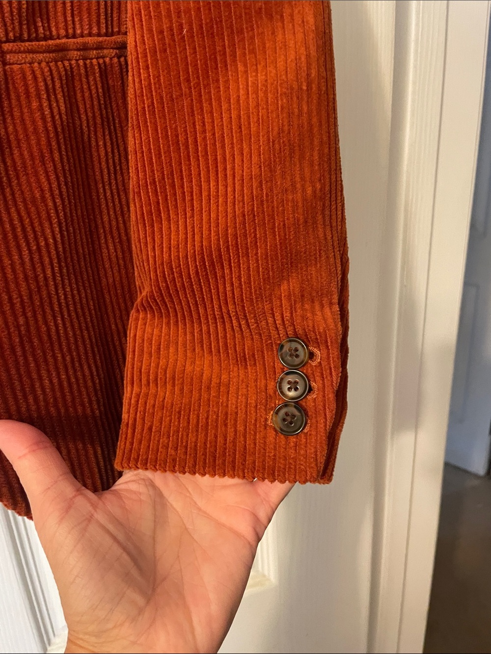 Banana Republic Rust Corduroy Single-Button Blazer - Picture 6 of 8